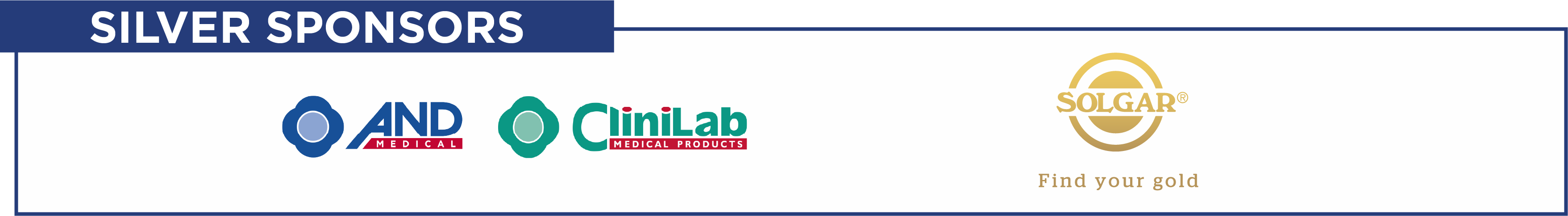 Silver Sponsor